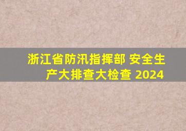 浙江省防汛指挥部 安全生产大排查大检查 2024
